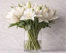 دستهبندی اول