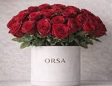 دستهبندی دوم