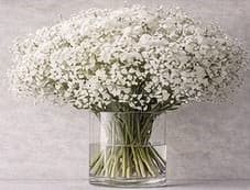 دستهبندی سوم